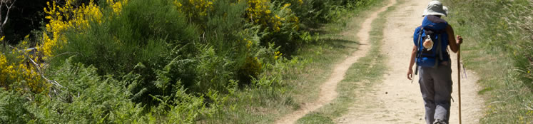 New Experience Walking Holidays - Guided and Self Guided Walking Holidays - Hotel to Hotel Treks